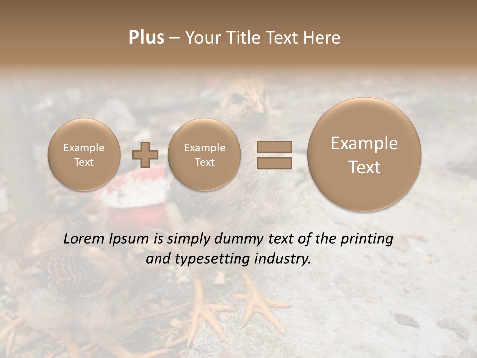 Clutter Chicken Asian PowerPoint Template
