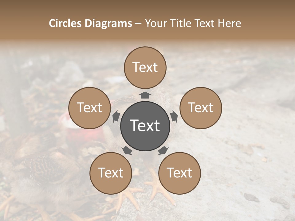 Clutter Chicken Asian PowerPoint Template