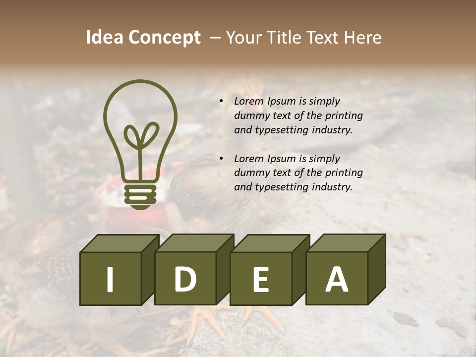 Clutter Chicken Asian PowerPoint Template