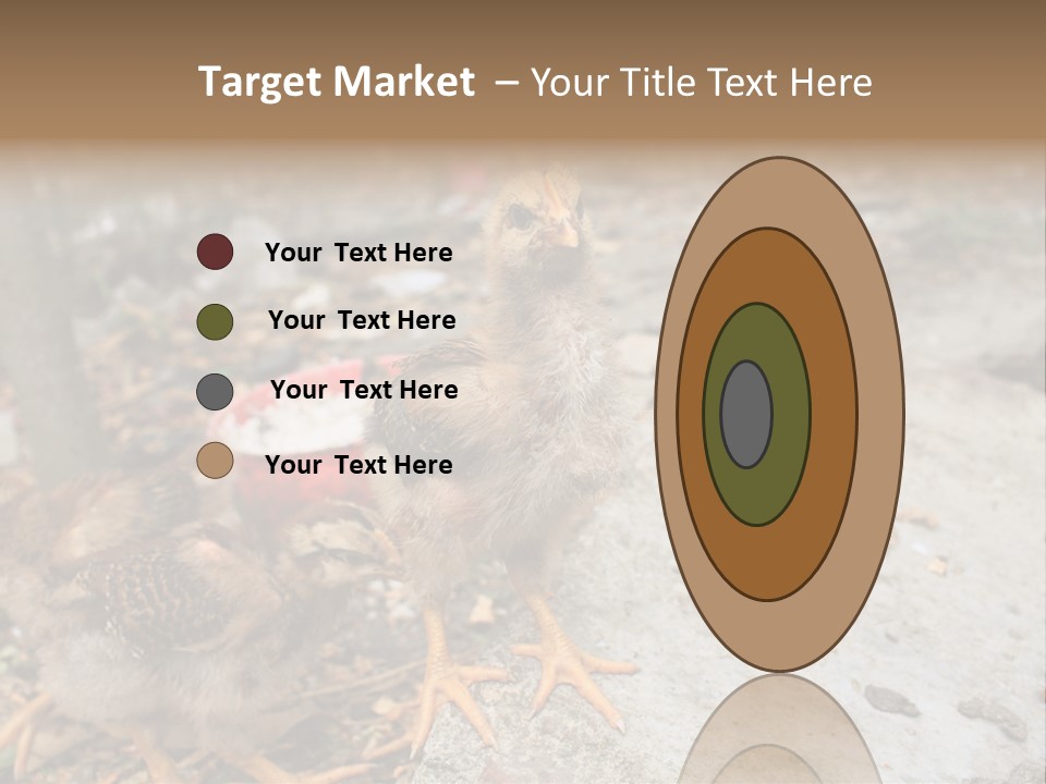 Clutter Chicken Asian PowerPoint Template