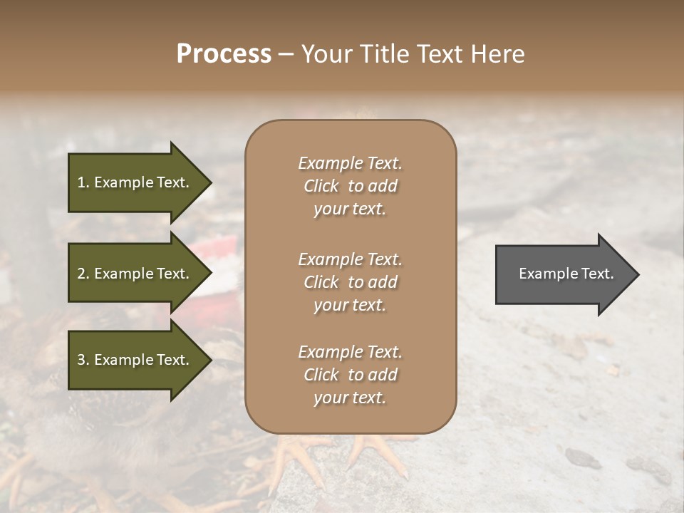 Clutter Chicken Asian PowerPoint Template