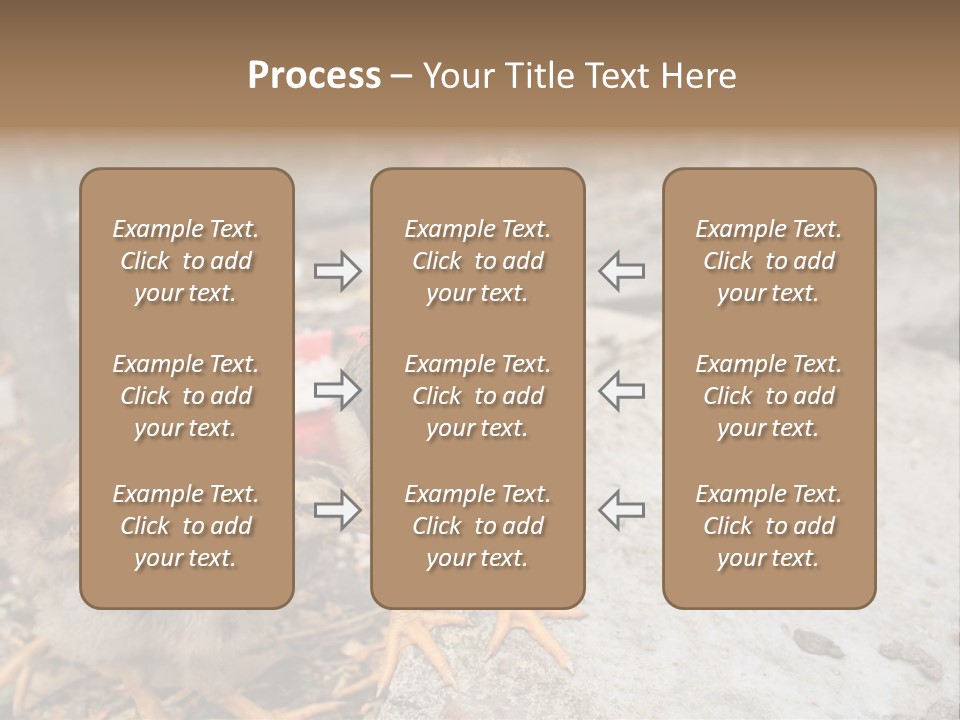 Clutter Chicken Asian PowerPoint Template