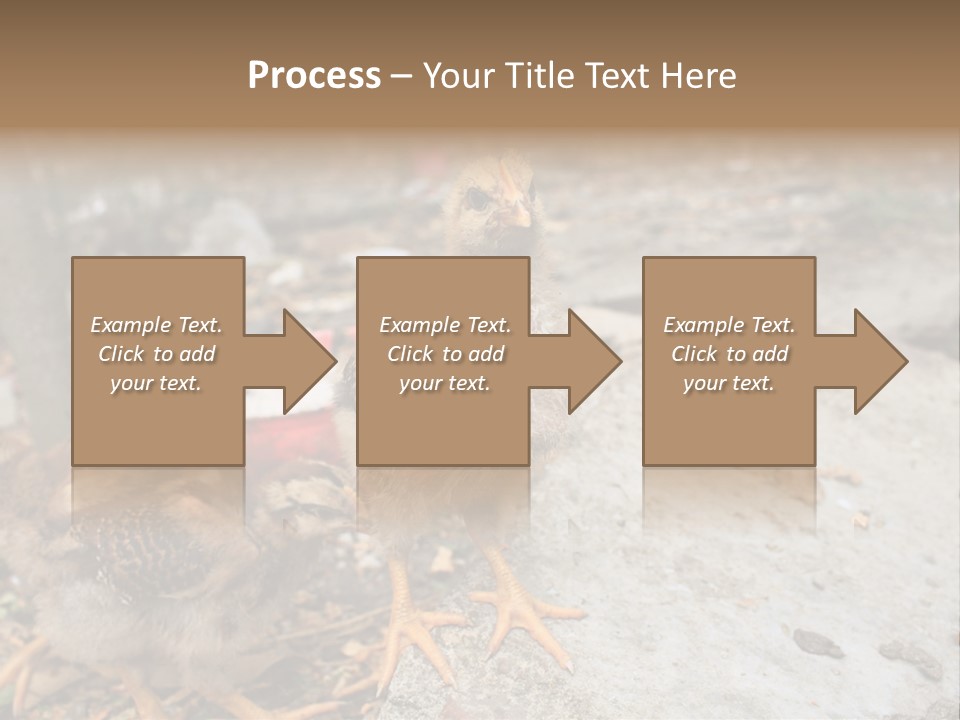 Clutter Chicken Asian PowerPoint Template