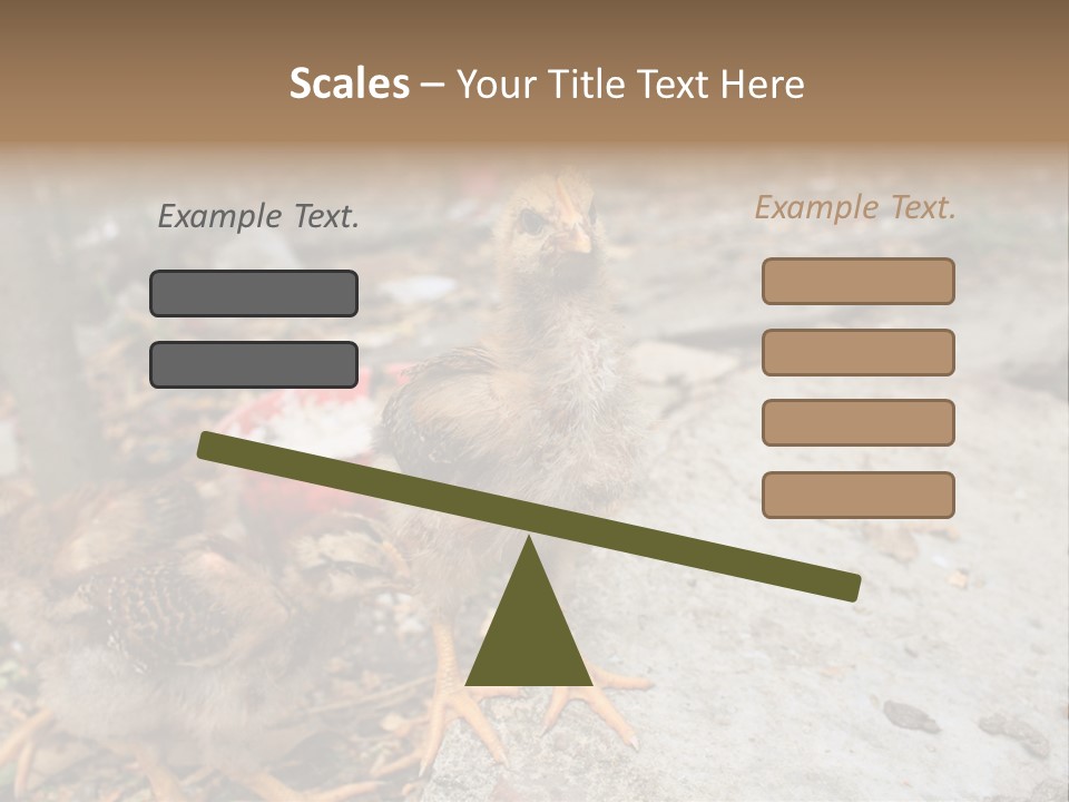 Clutter Chicken Asian PowerPoint Template