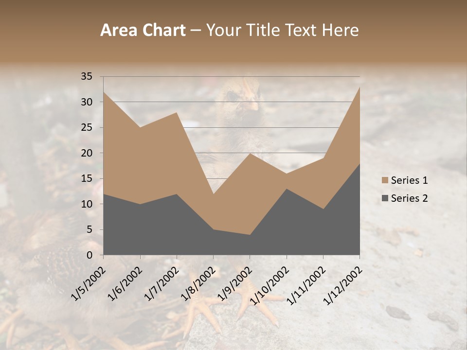 Clutter Chicken Asian PowerPoint Template
