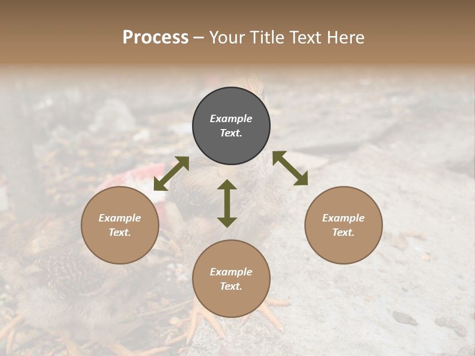 Clutter Chicken Asian PowerPoint Template