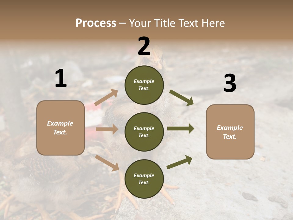 Clutter Chicken Asian PowerPoint Template