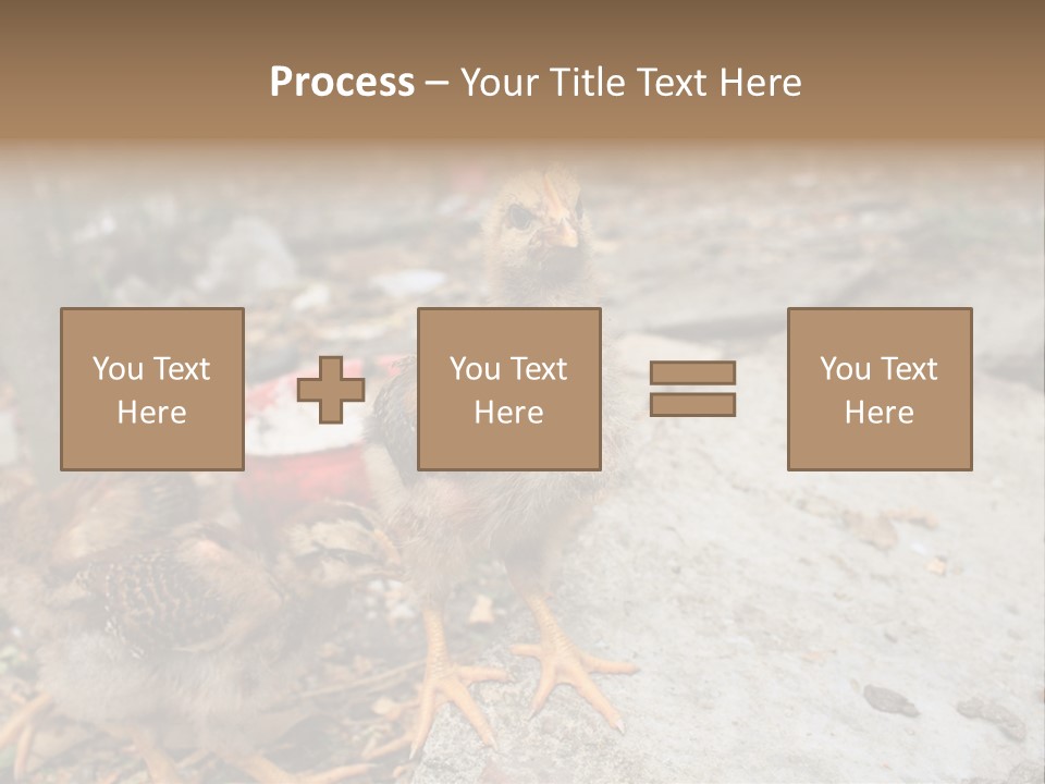 Clutter Chicken Asian PowerPoint Template