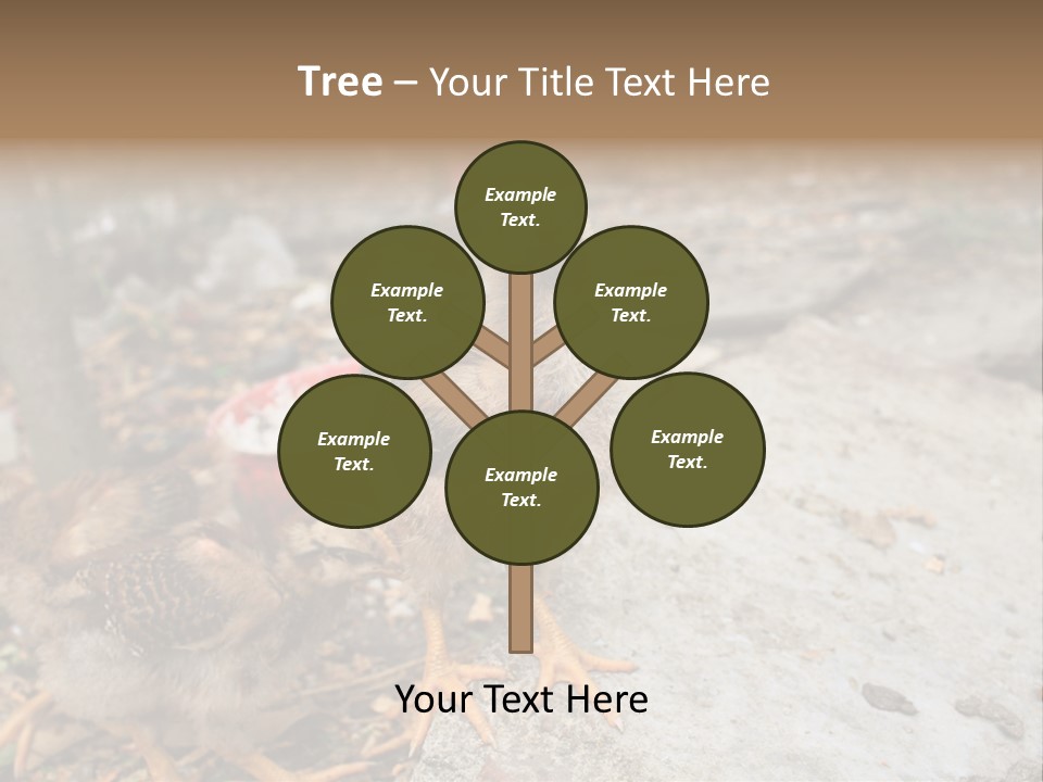 Clutter Chicken Asian PowerPoint Template