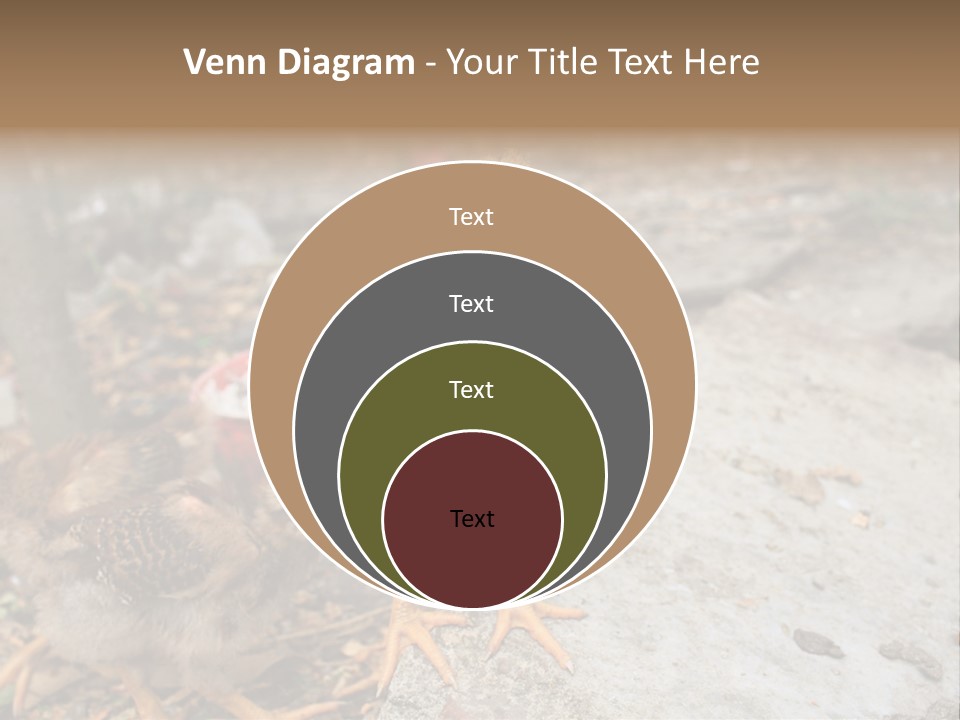 Clutter Chicken Asian PowerPoint Template