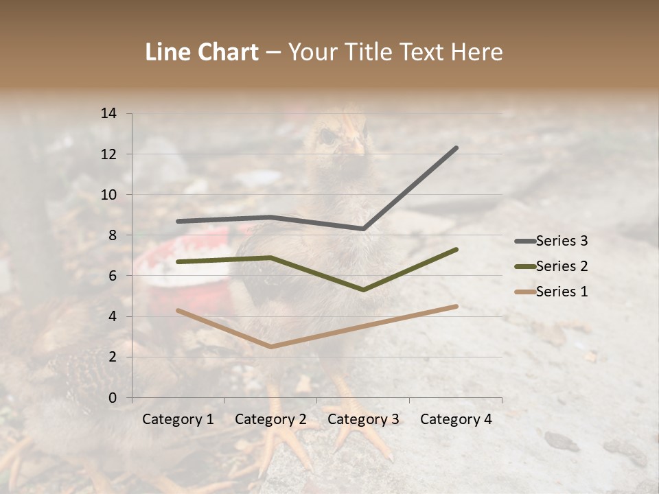 Clutter Chicken Asian PowerPoint Template