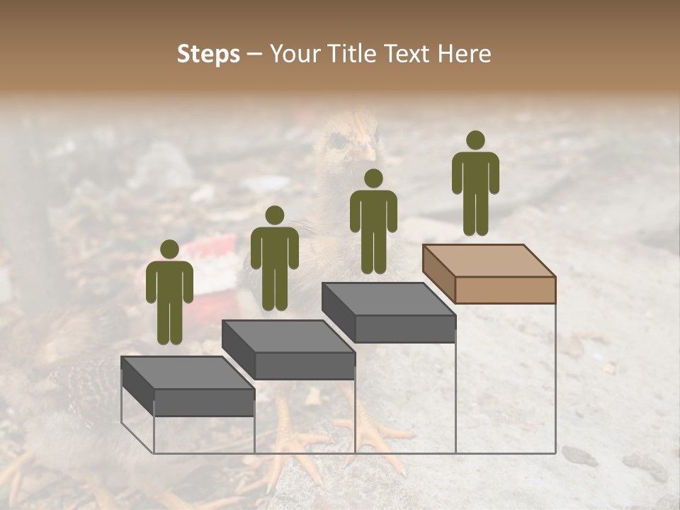 Clutter Chicken Asian PowerPoint Template