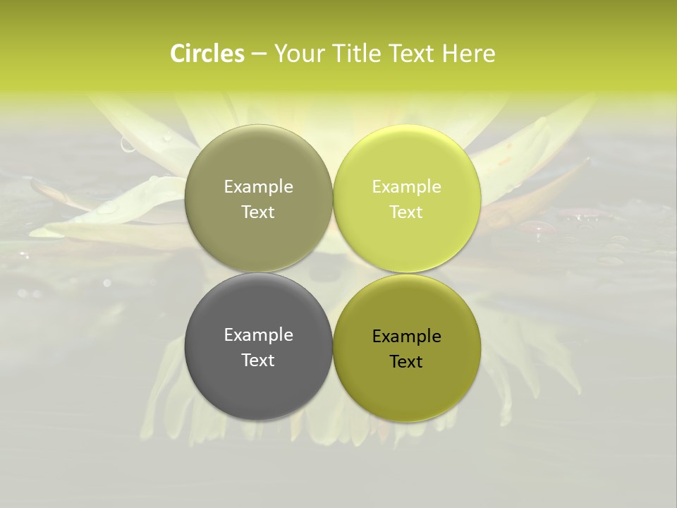 Pink Garden Floral PowerPoint Template