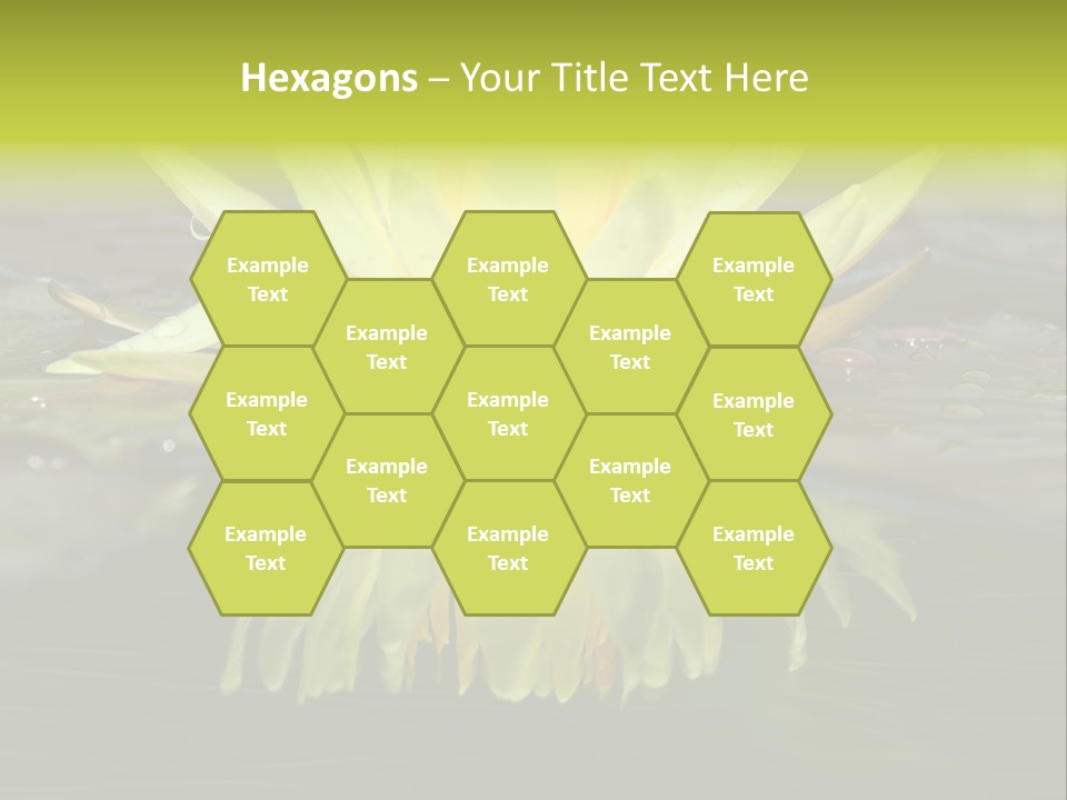 Pink Garden Floral PowerPoint Template