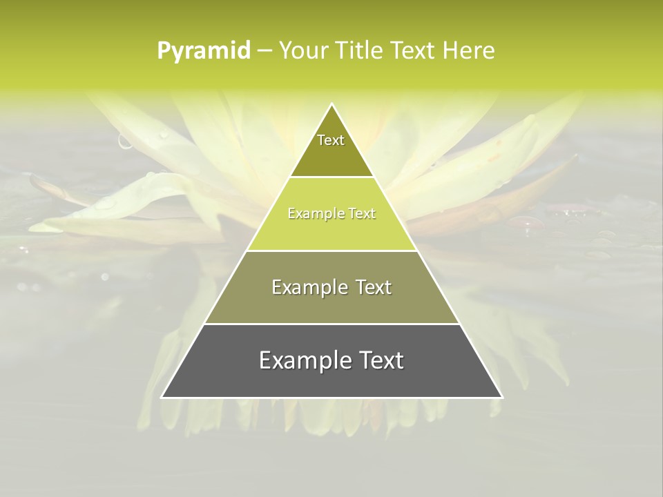 Pink Garden Floral PowerPoint Template