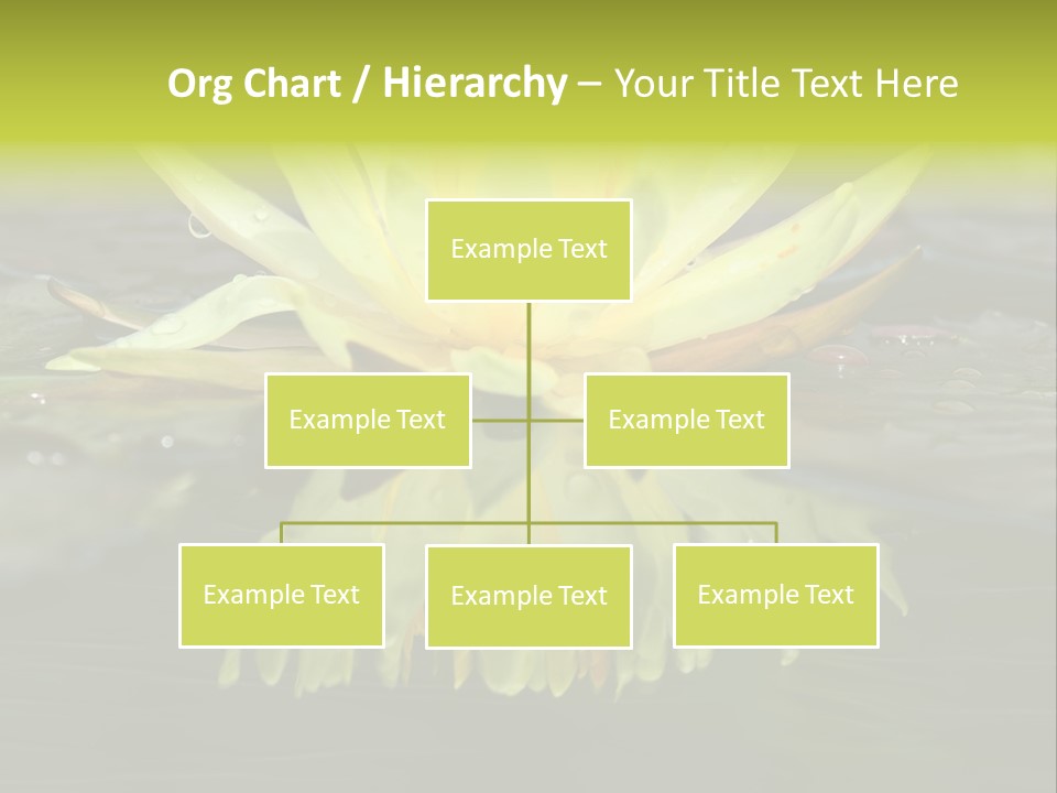 Pink Garden Floral PowerPoint Template