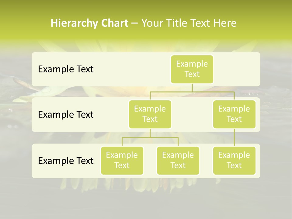 Pink Garden Floral PowerPoint Template
