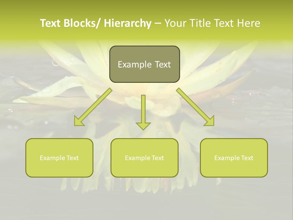 Pink Garden Floral PowerPoint Template