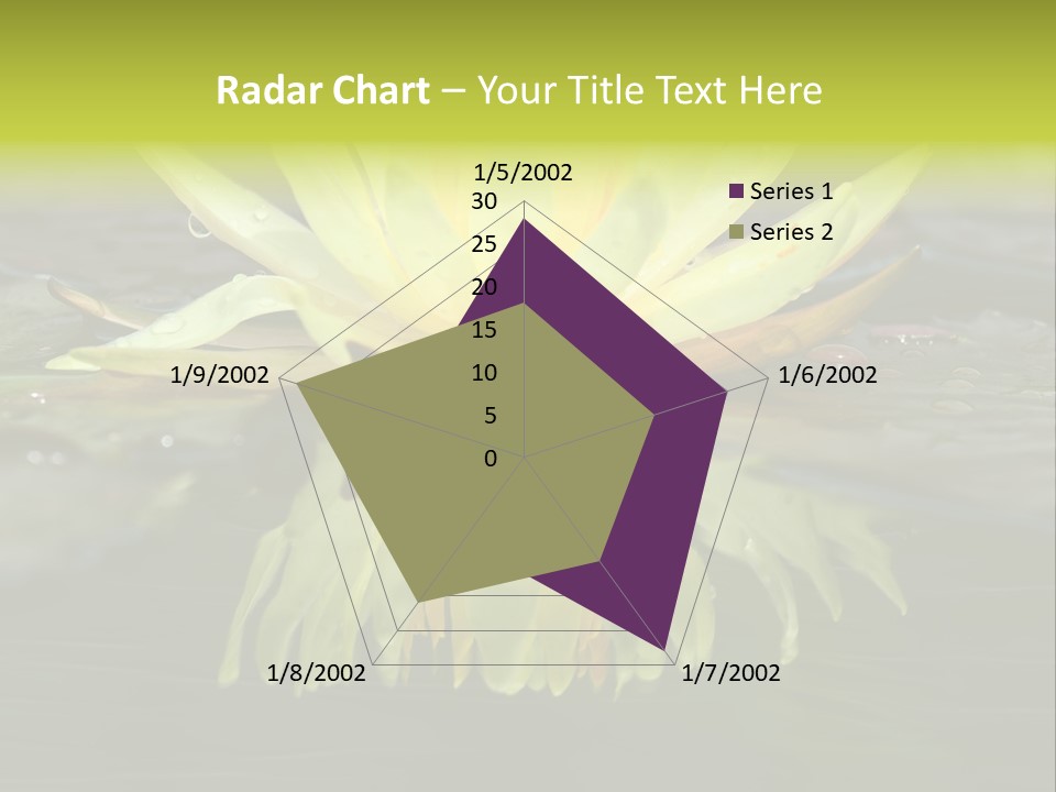 Pink Garden Floral PowerPoint Template