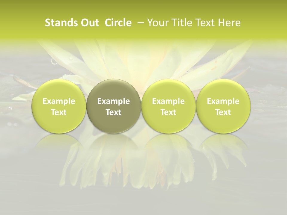 Pink Garden Floral PowerPoint Template