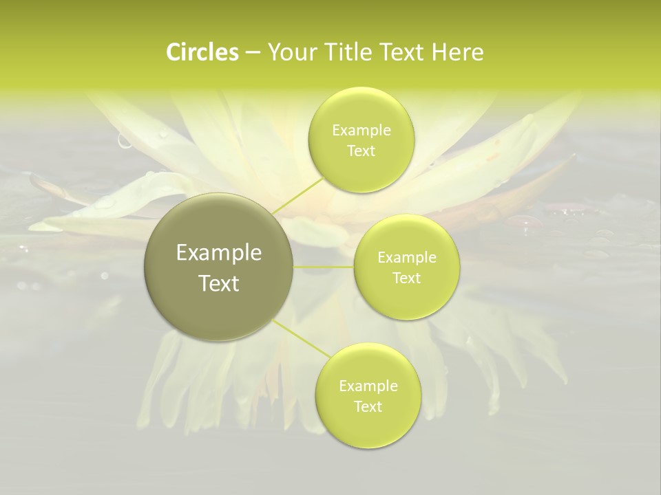 Pink Garden Floral PowerPoint Template