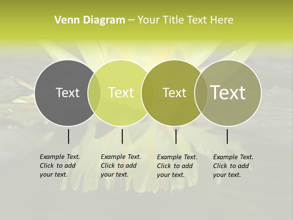 Pink Garden Floral PowerPoint Template