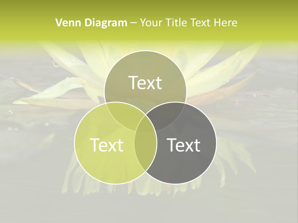 Pink Garden Floral PowerPoint Template