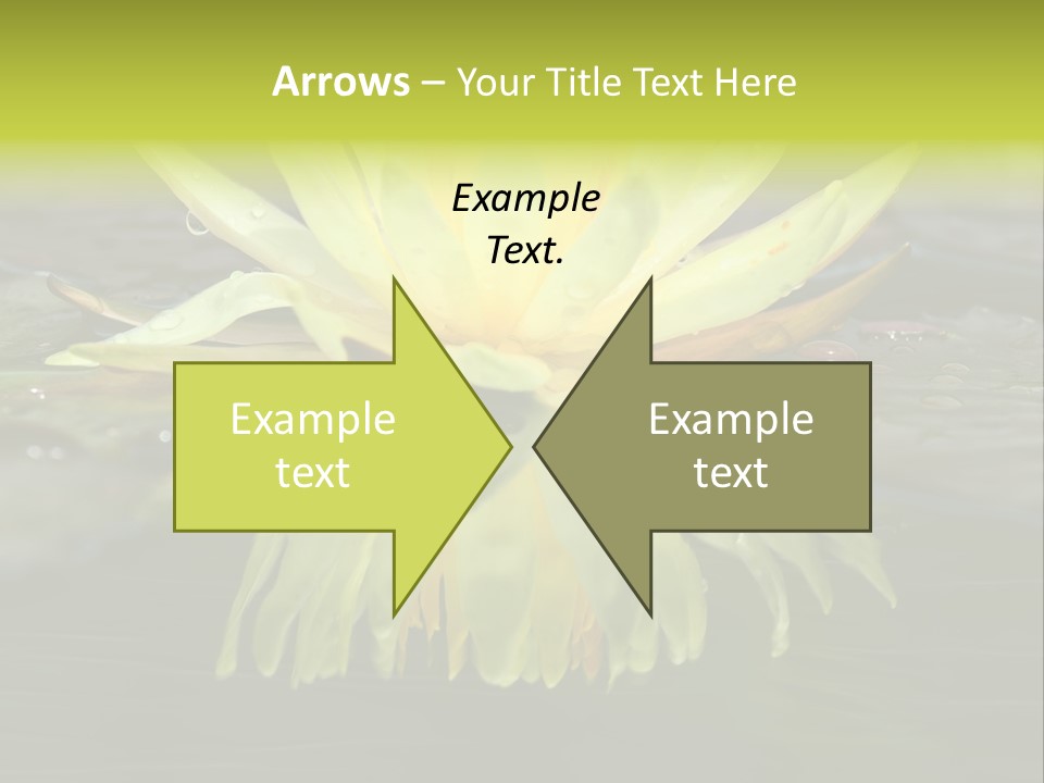 Pink Garden Floral PowerPoint Template