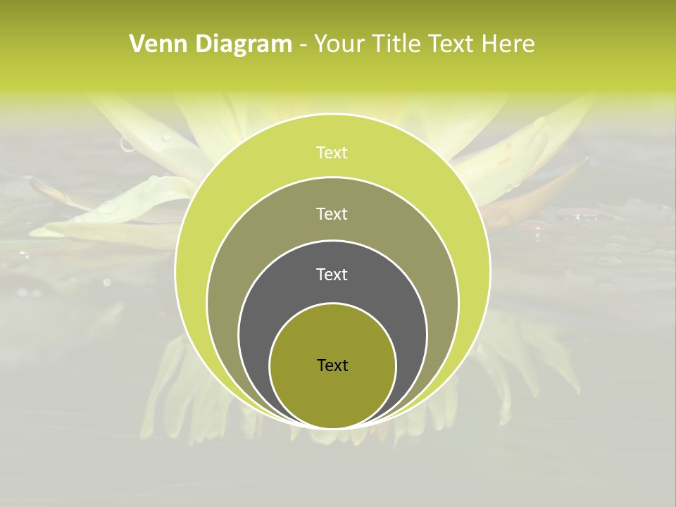 Pink Garden Floral PowerPoint Template