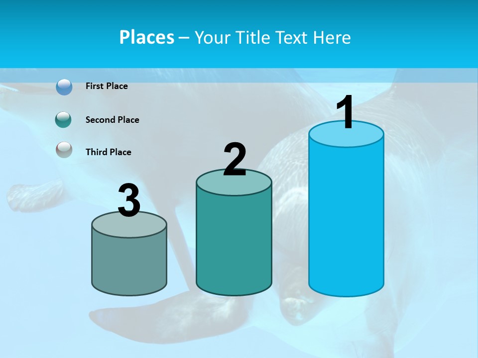 Underwater Beautiful Marine Life PowerPoint Template