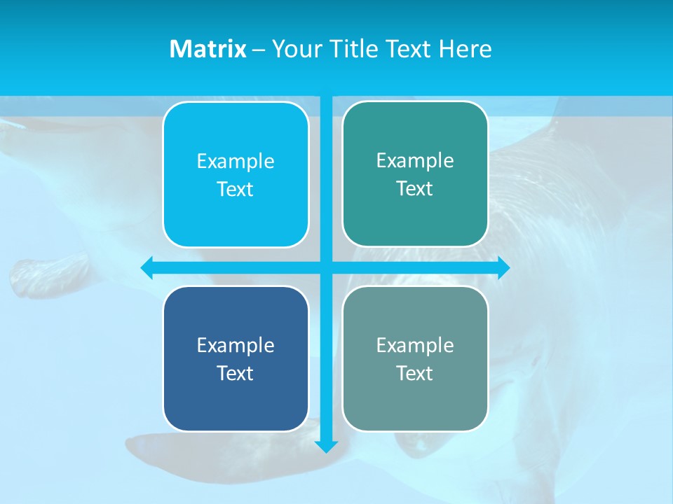 Underwater Beautiful Marine Life PowerPoint Template