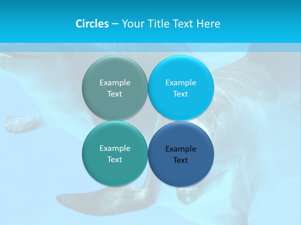 Underwater Beautiful Marine Life PowerPoint Template