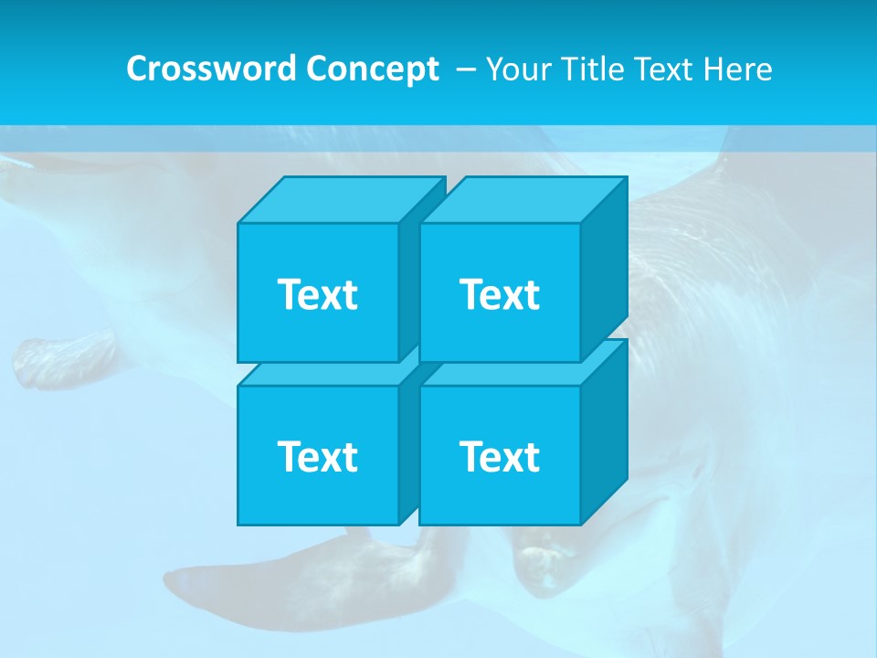 Underwater Beautiful Marine Life PowerPoint Template