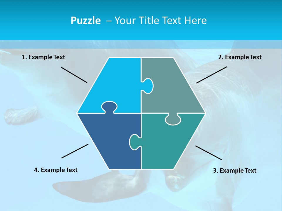 Underwater Beautiful Marine Life PowerPoint Template