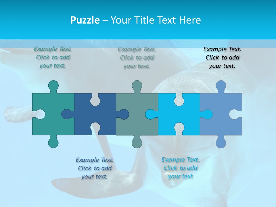 Underwater Beautiful Marine Life PowerPoint Template