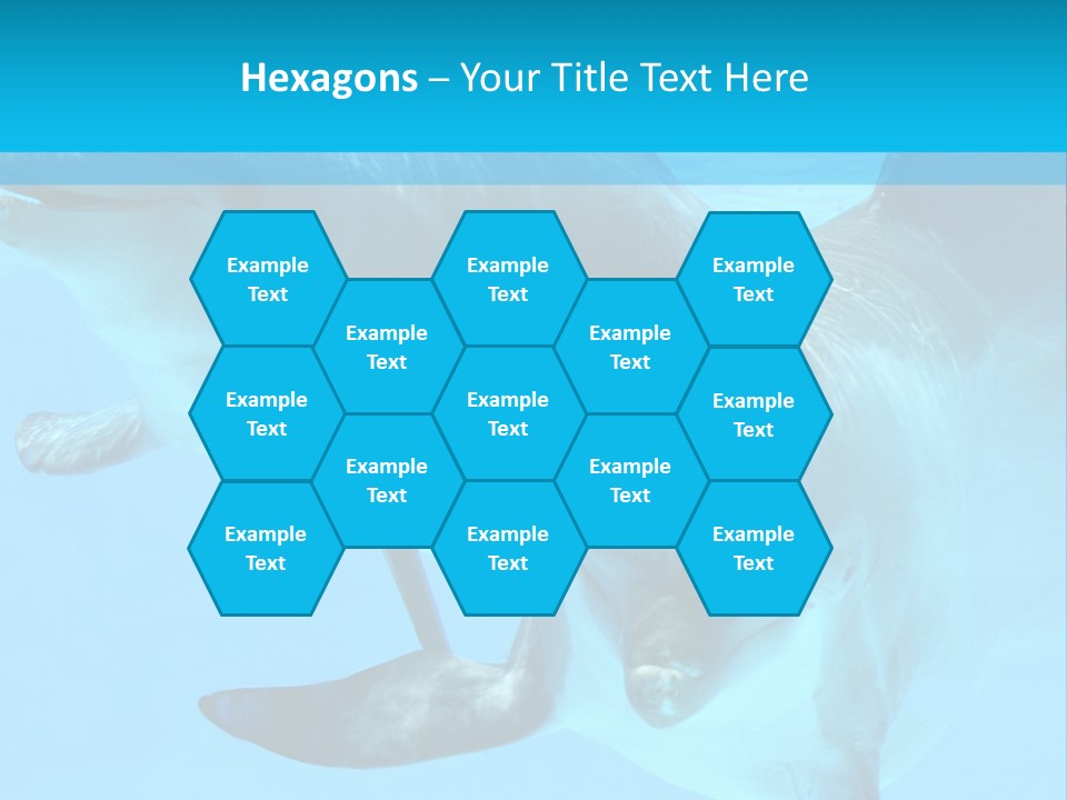 Underwater Beautiful Marine Life PowerPoint Template