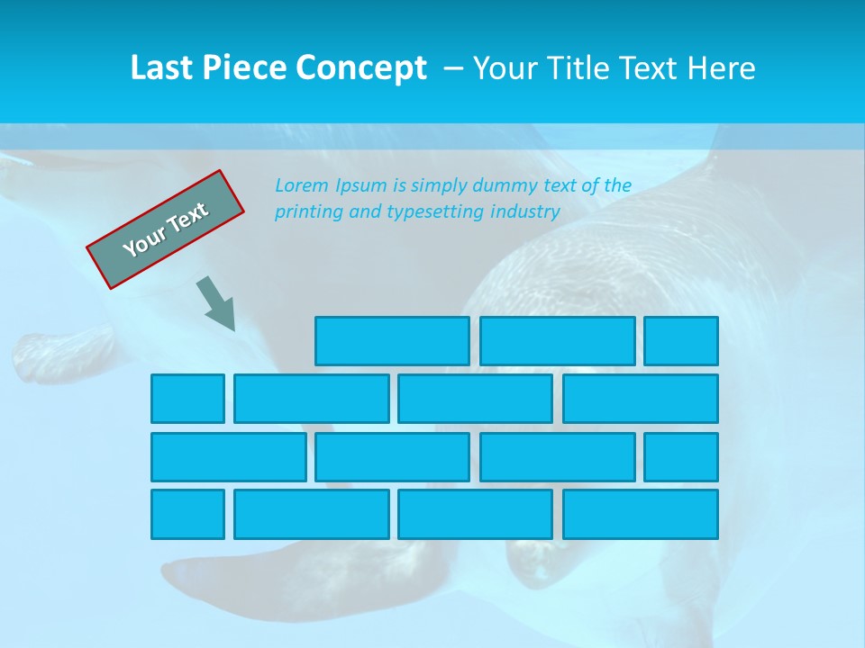 Underwater Beautiful Marine Life PowerPoint Template