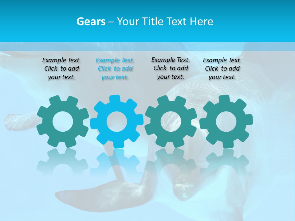 Underwater Beautiful Marine Life PowerPoint Template