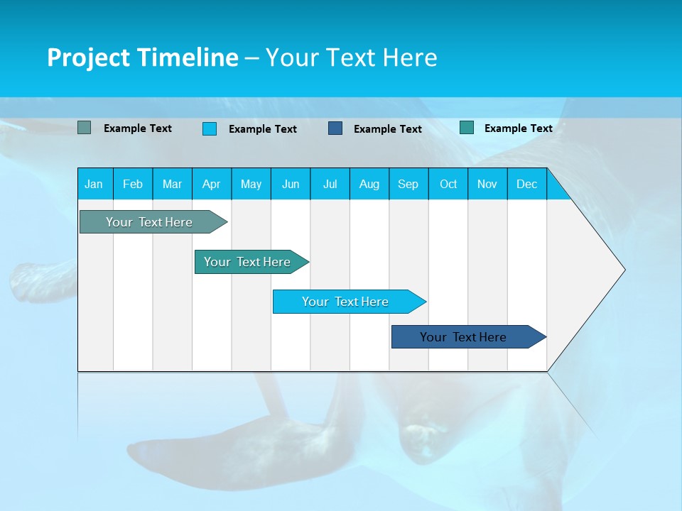 Underwater Beautiful Marine Life PowerPoint Template