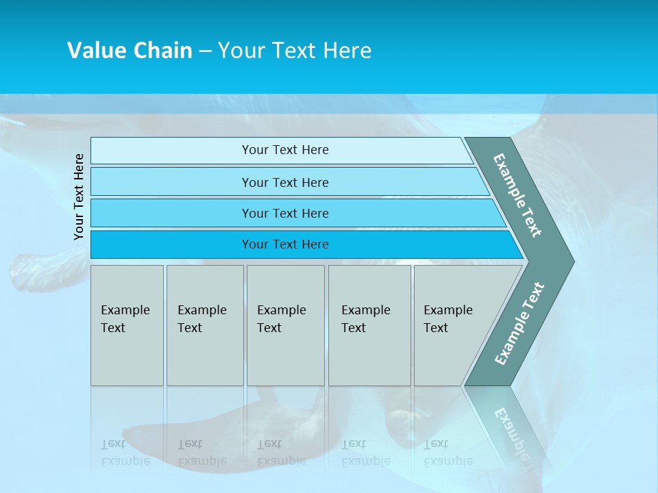 Underwater Beautiful Marine Life PowerPoint Template