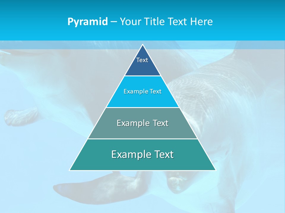 Underwater Beautiful Marine Life PowerPoint Template