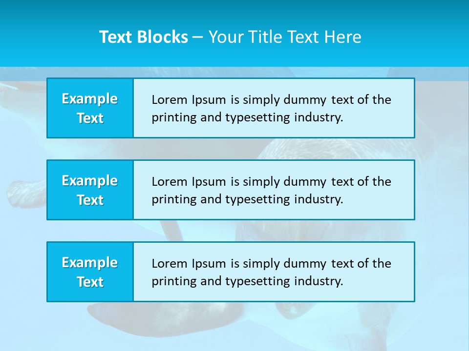Underwater Beautiful Marine Life PowerPoint Template