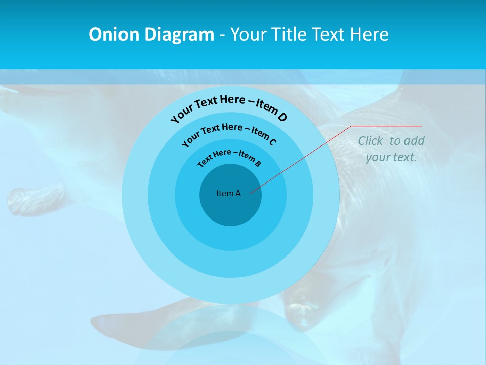 Underwater Beautiful Marine Life PowerPoint Template