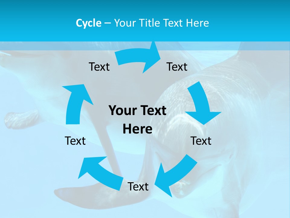 Underwater Beautiful Marine Life PowerPoint Template