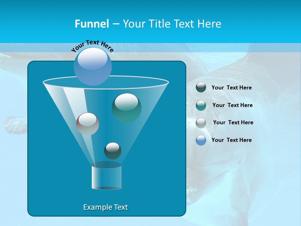 Underwater Beautiful Marine Life PowerPoint Template