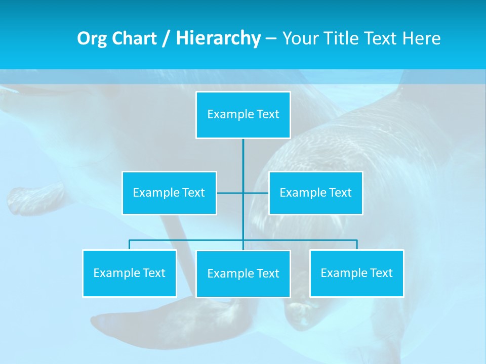 Underwater Beautiful Marine Life PowerPoint Template