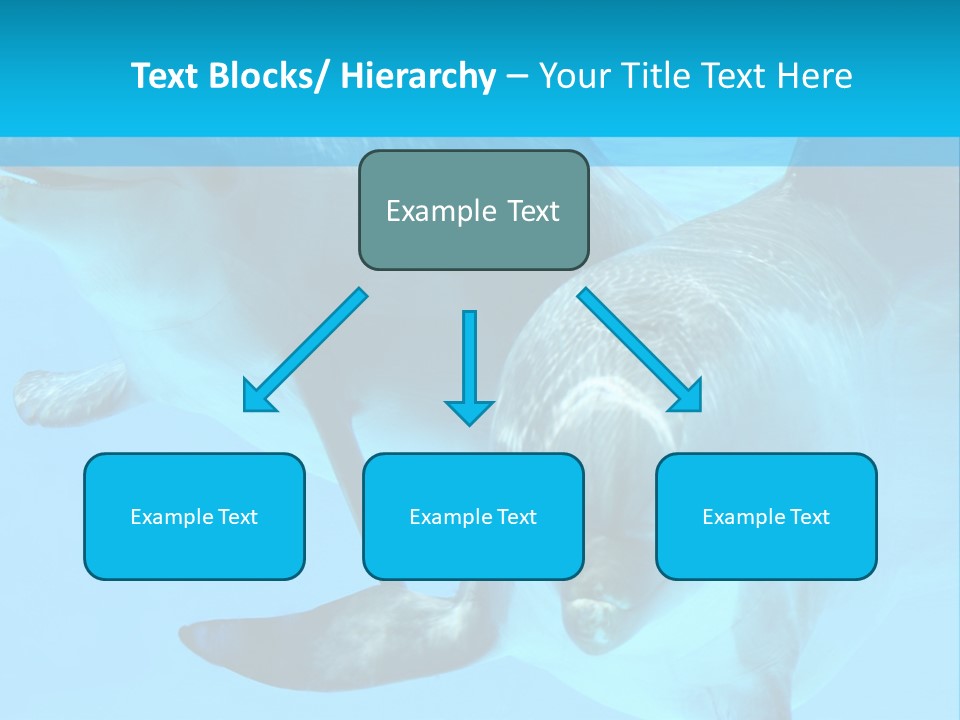 Underwater Beautiful Marine Life PowerPoint Template