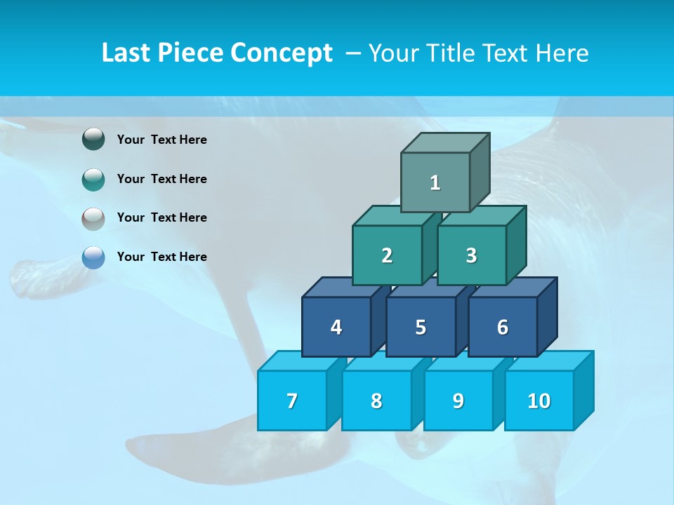 Underwater Beautiful Marine Life PowerPoint Template