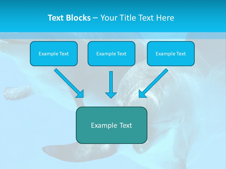 Underwater Beautiful Marine Life PowerPoint Template
