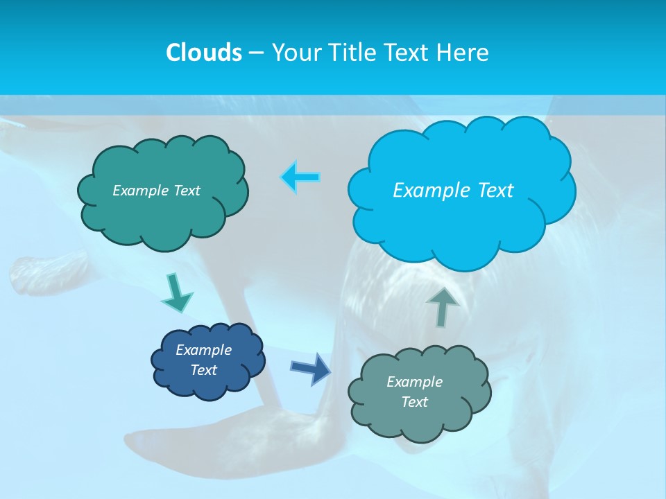 Underwater Beautiful Marine Life PowerPoint Template